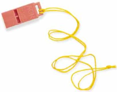 Cheap Whistle