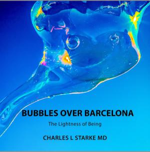  BUBBLES OVER BARCELONA:  The Lightness of Being