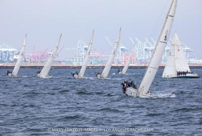 Tight Competition in the Harbor Cup
