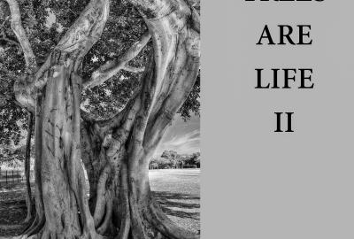 	 TREES ARE LIFE II