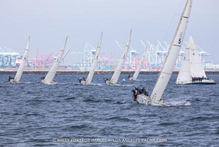 Tight Competition in the Harbor Cup